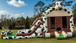 Rodeo Bounce House Combo