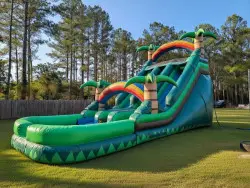 18ft Rainbow Palm Double-lane Slide with Pool